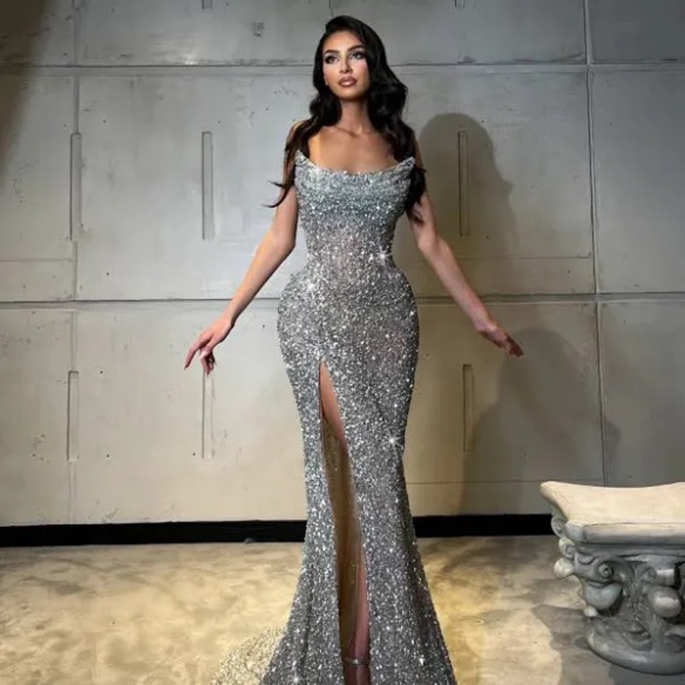 Elegant Silver Evening Gown (Leuda -Walone)